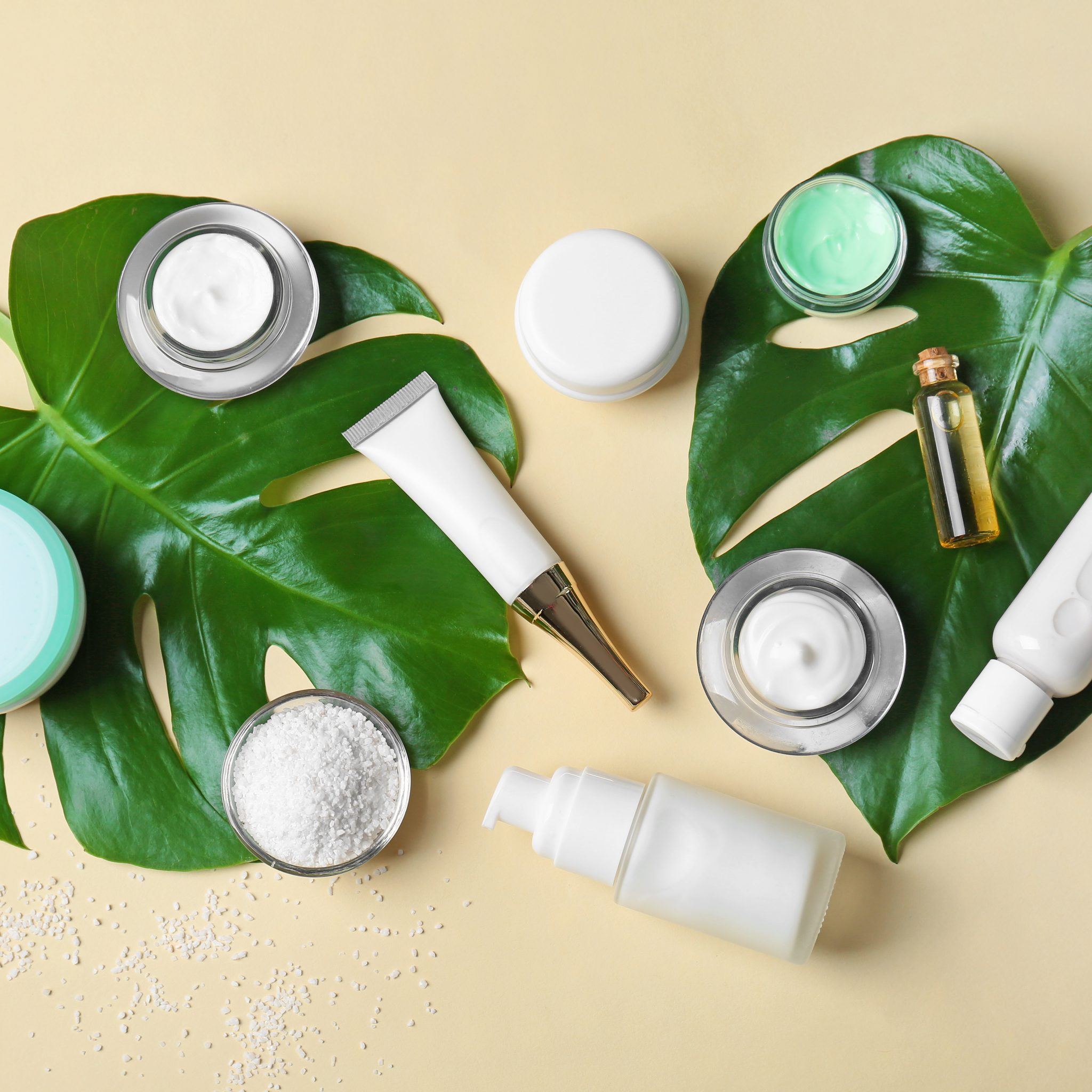 Natural cosmetics and leaves on light background